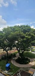 Blk 768 Pasir Ris Street 71 (Pasir Ris), HDB 4 Rooms #601572001
